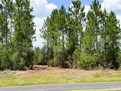12 acres Washington County Florida