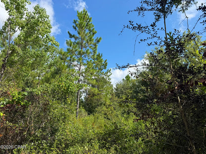 12 acres Washington County Florida