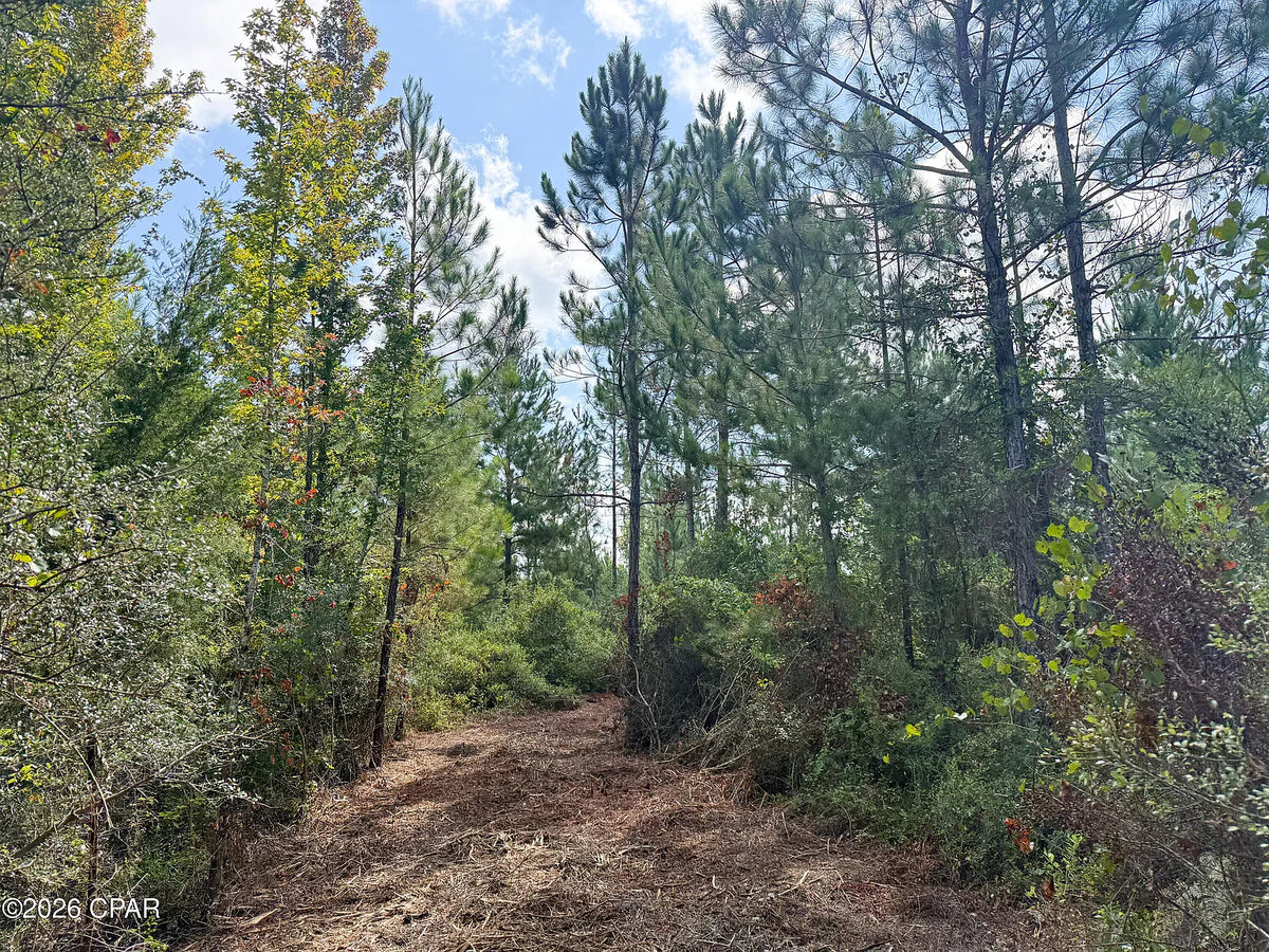 12 acres Washington County Florida