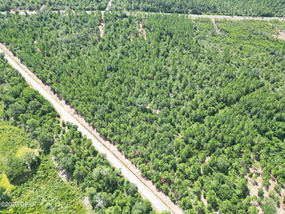 12 acres Washington County Florida