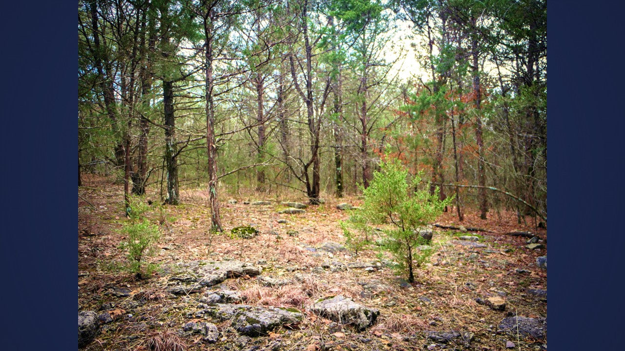 10 Acres Barry county MO
