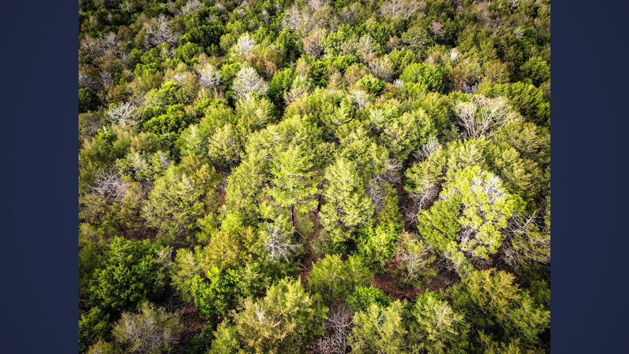 10 Acres Barry county MO