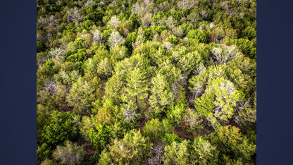 10 Acres Barry county MO