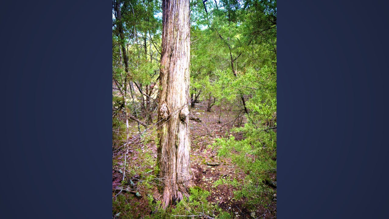 10 Acres Barry county MO