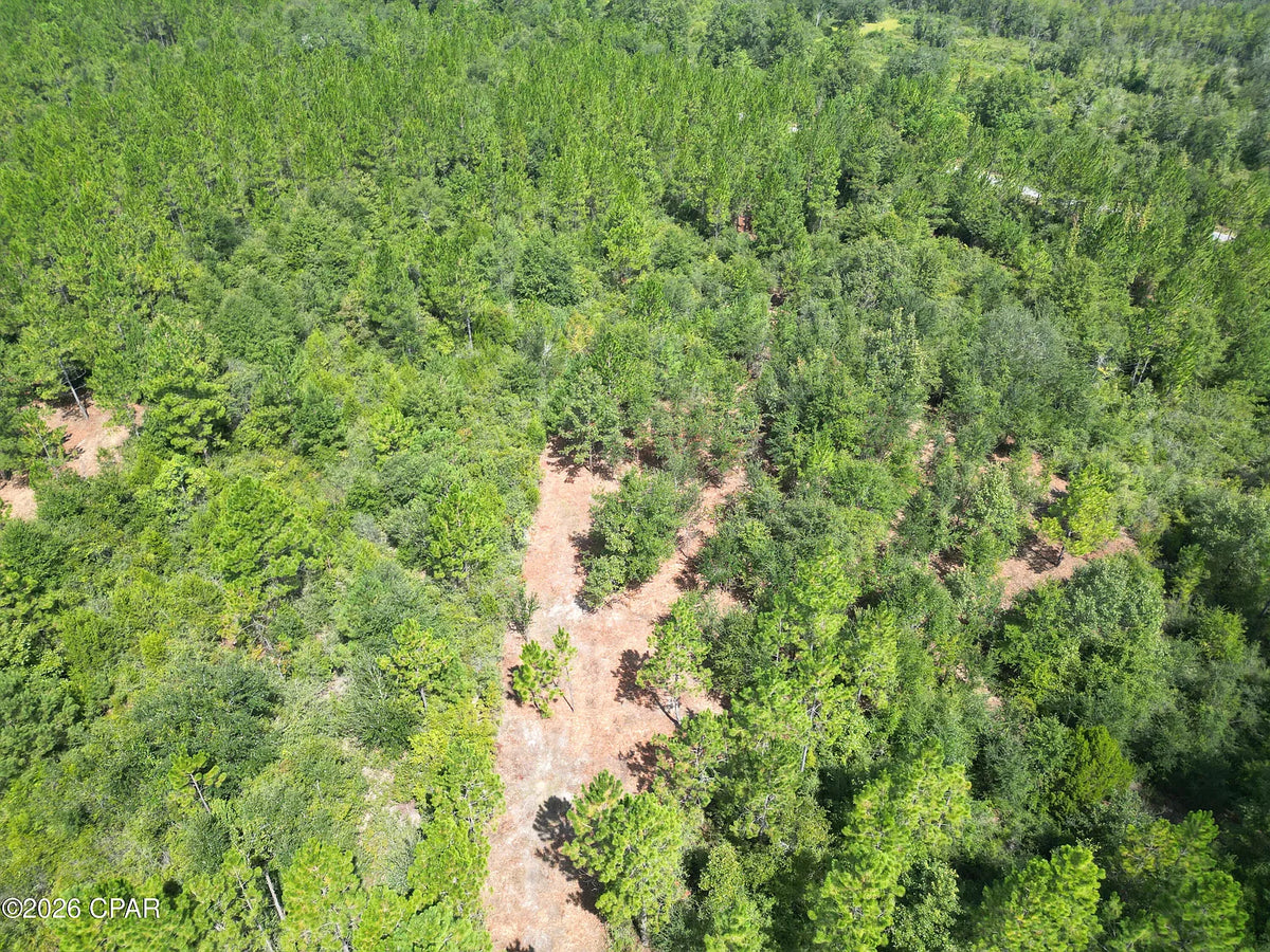 12 acres Washington County Florida