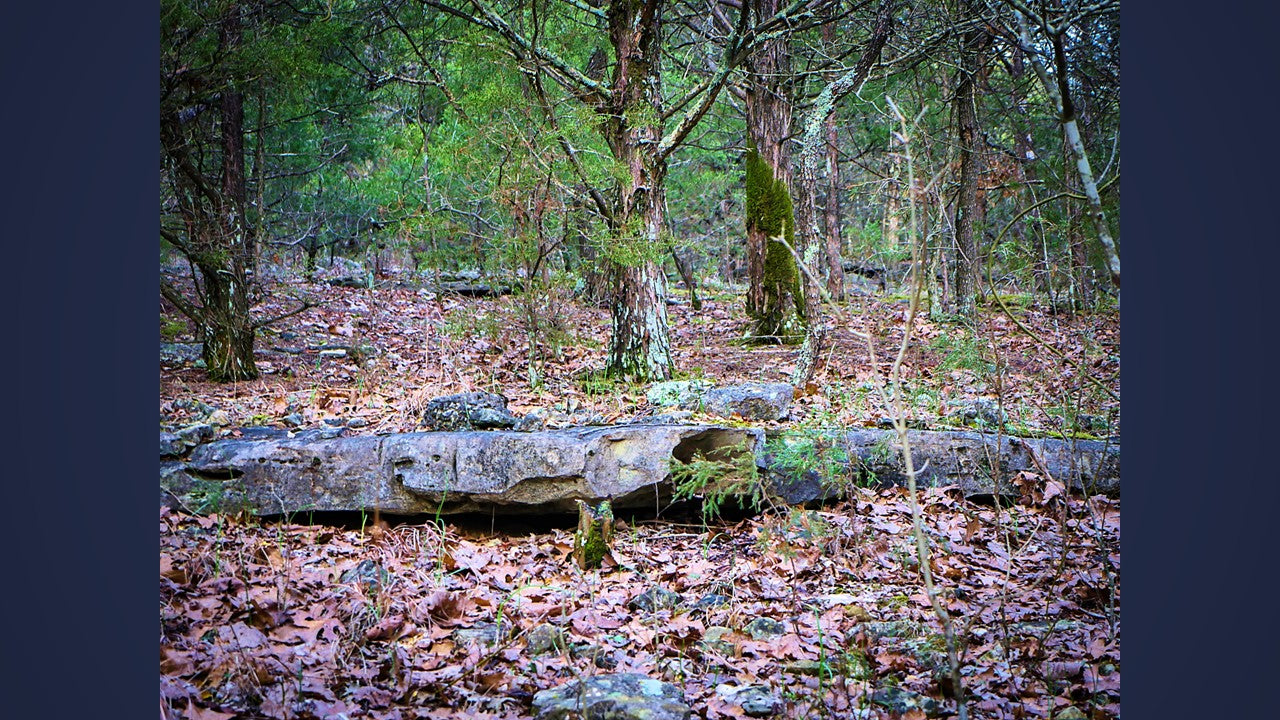 10 Acres Barry county MO