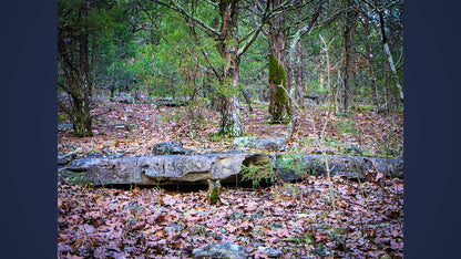 10 Acres Barry county MO