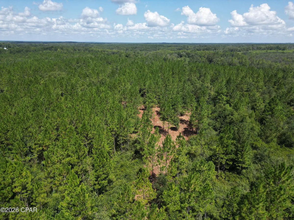 12 acres Washington County Florida