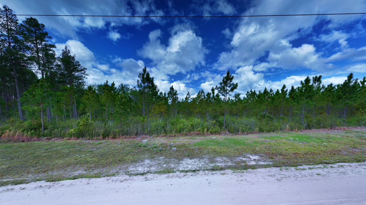 31.81 Acres Ware County GA