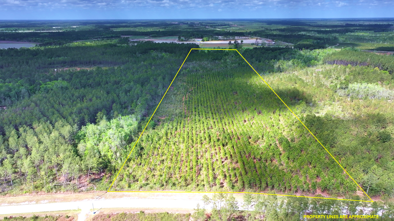 31.81 Acres Ware County GA