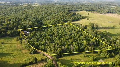 Hidden Missouri Gem: 10.61 Acres with Cabins and Wildlife!