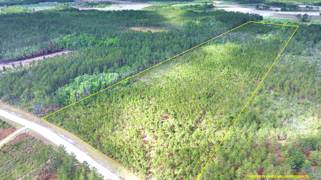 31.81 Acres Ware County GA