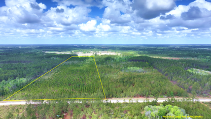 31.81 Acres Ware County GA