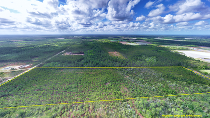 31.81 Acres Ware County GA