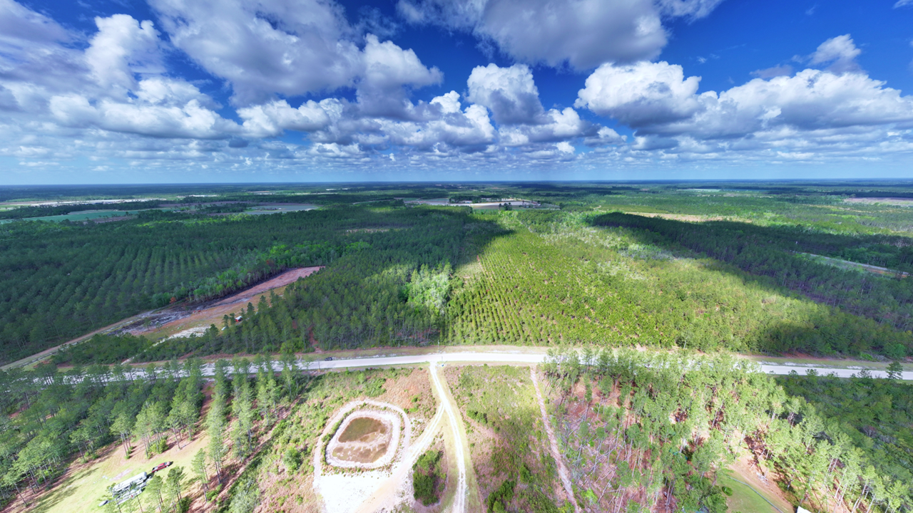 31.81 Acres Ware County GA