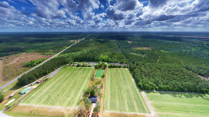 31.81 Acres Ware County GA