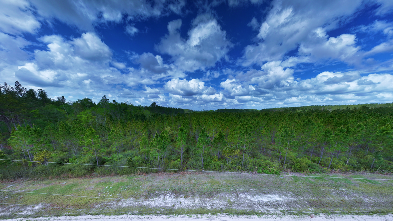 31.81 Acres Ware County GA