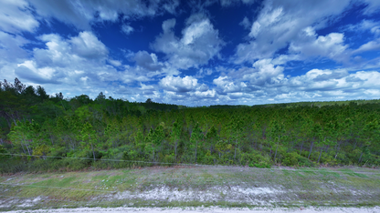 31.81 Acres Ware County GA