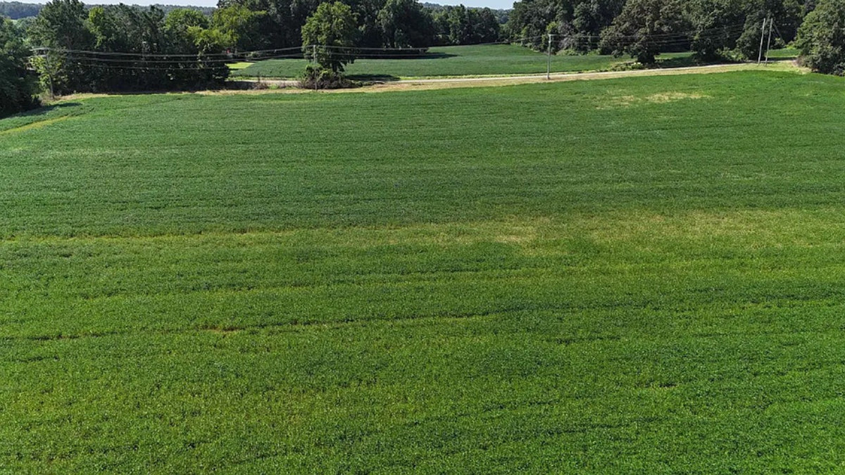 108.33 ± Acres in McNairy County, TN