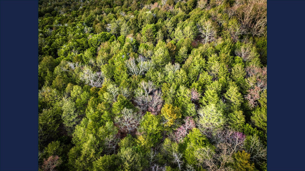 10 Acres Barry county MO