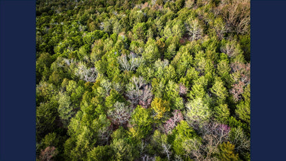 10 Acres Barry county MO