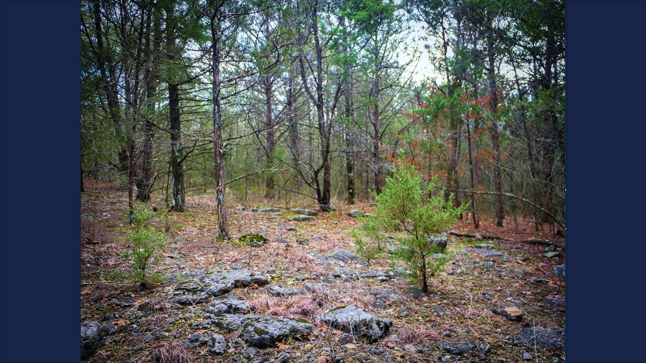 10 Acres Barry county MO