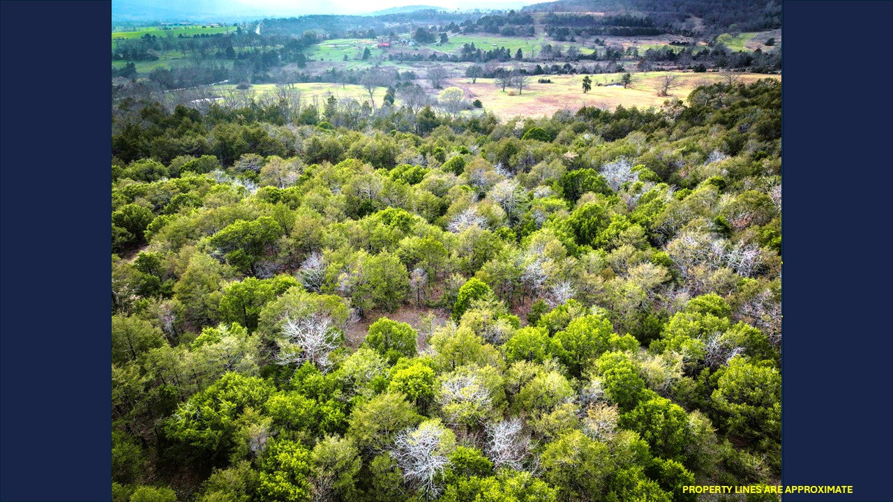 10 Acres Barry county MO