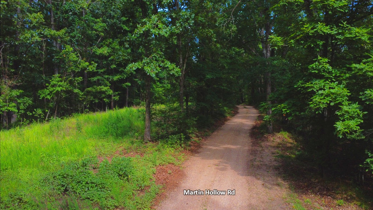 20 Acres on Martin Hollow Rd, Stone County MO
