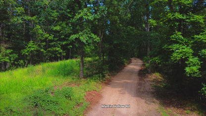 20 Acres on Martin Hollow Rd, Stone County MO