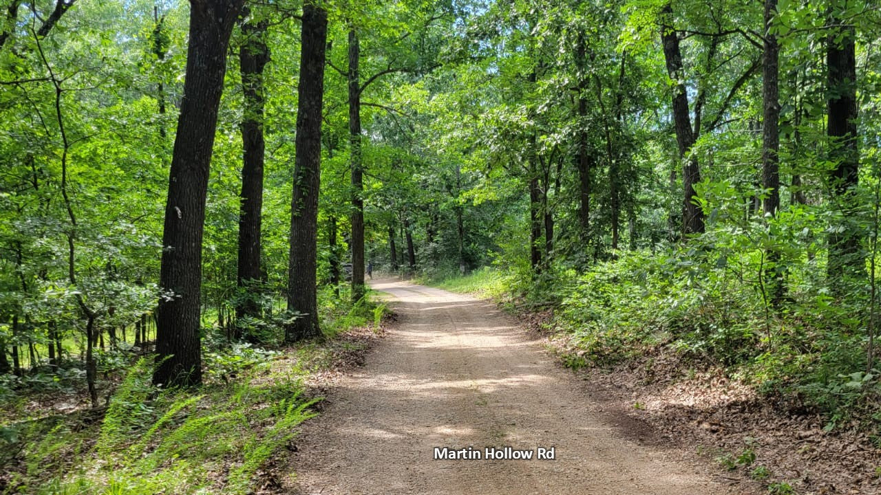 20 Acres on Martin Hollow Rd, Stone County MO