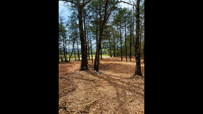10 Acres Barry county MO