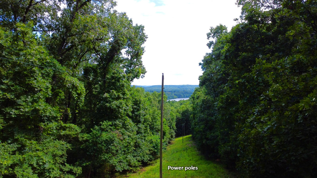 20 Acres on Martin Hollow Rd, Stone County MO