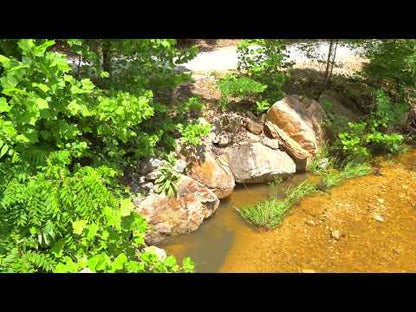 5 Acres with Creek, Clearing, and Lake Access – Perfect for Your New Home!