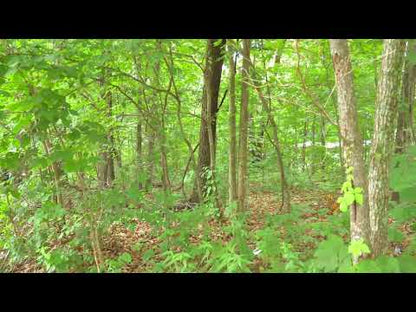 0.22 Acres Near Lake of the Ozarks – Ready for Your Home!