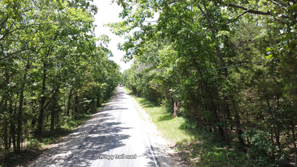 12 Acres – Wispy Trail Ln, Viola, MO